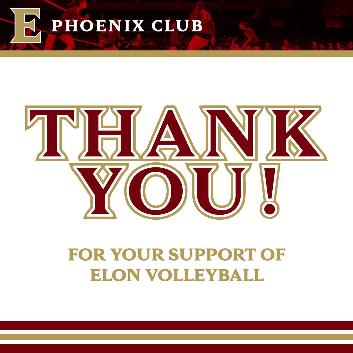 Thank You VolleyBall.png