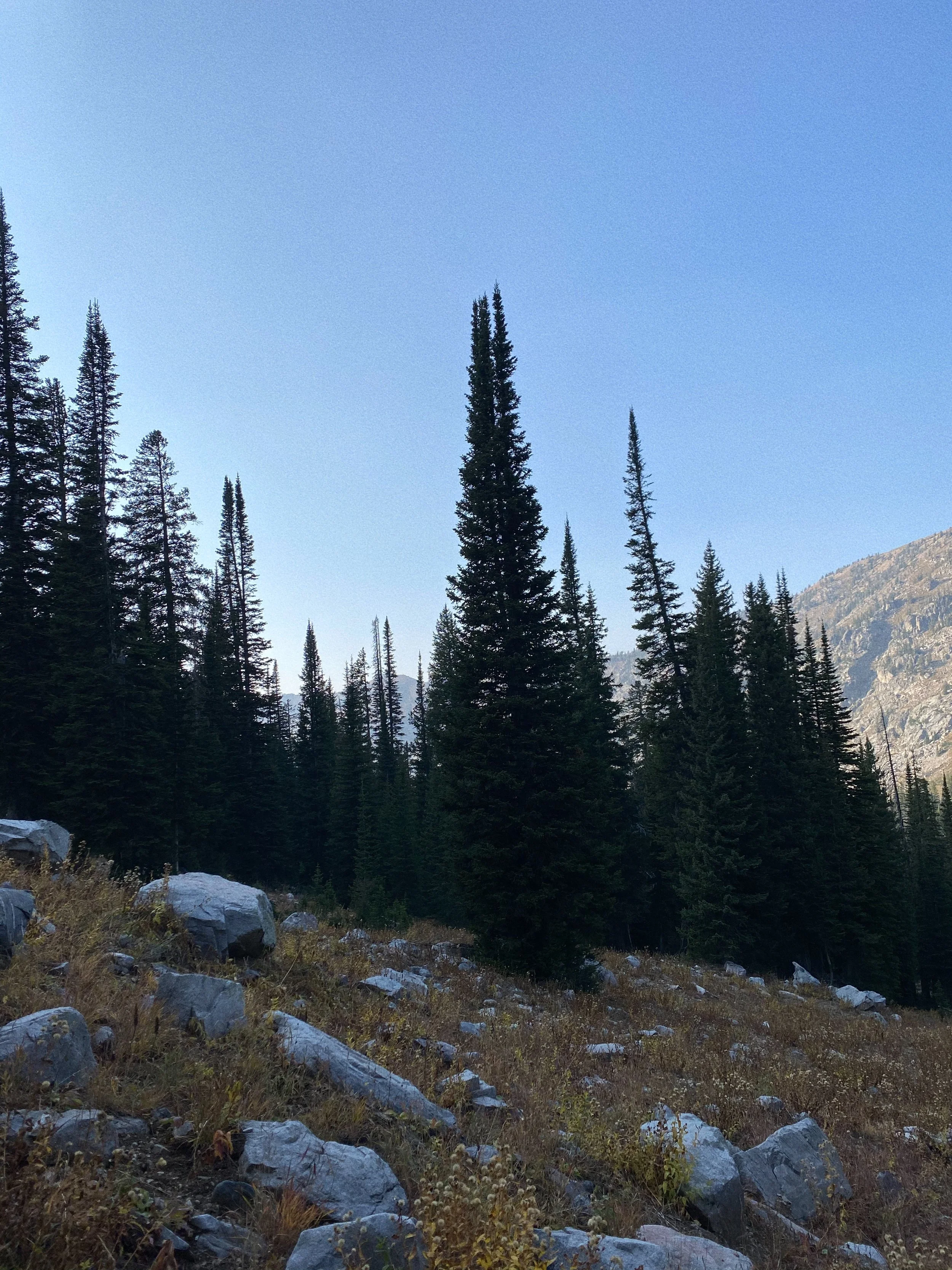 grounded, down to earth, compassionate mental health therapy for those wishing to deconstruct purity culture, sexual shame, and religious trauma. therapists use a person-centered, relational approach to therapy in the state of colorado.