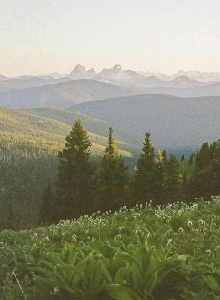 virtual telehealth mental health therapy across colorado, including denver, colorado springs, boulder, fort collins, buena vista, leadville, salida, breckenridge, and therapy for the western slope, including aspen, telluride, crested butte, gunnison