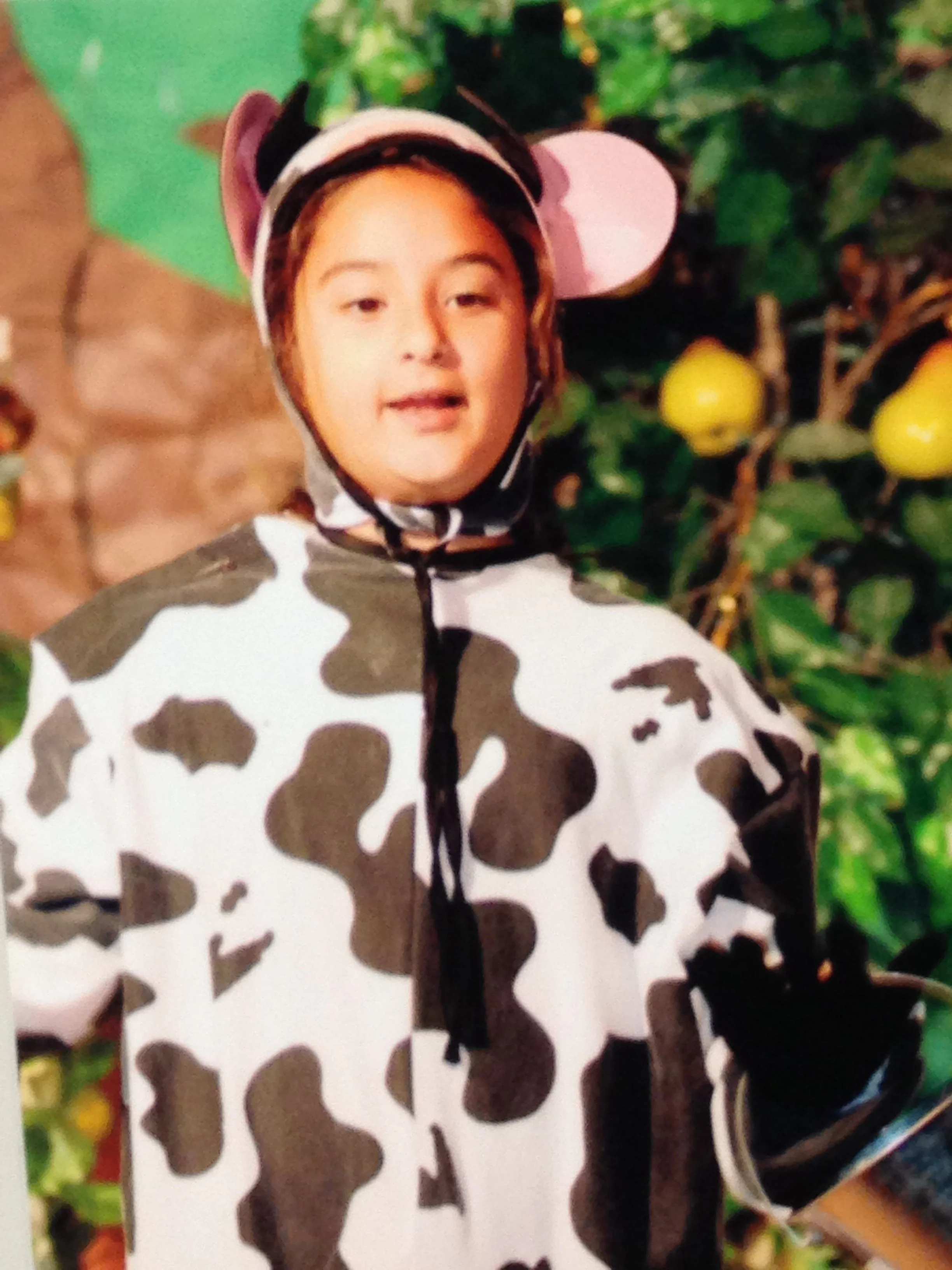 Cow in 'A Tale of Two Brothers' (2013)
