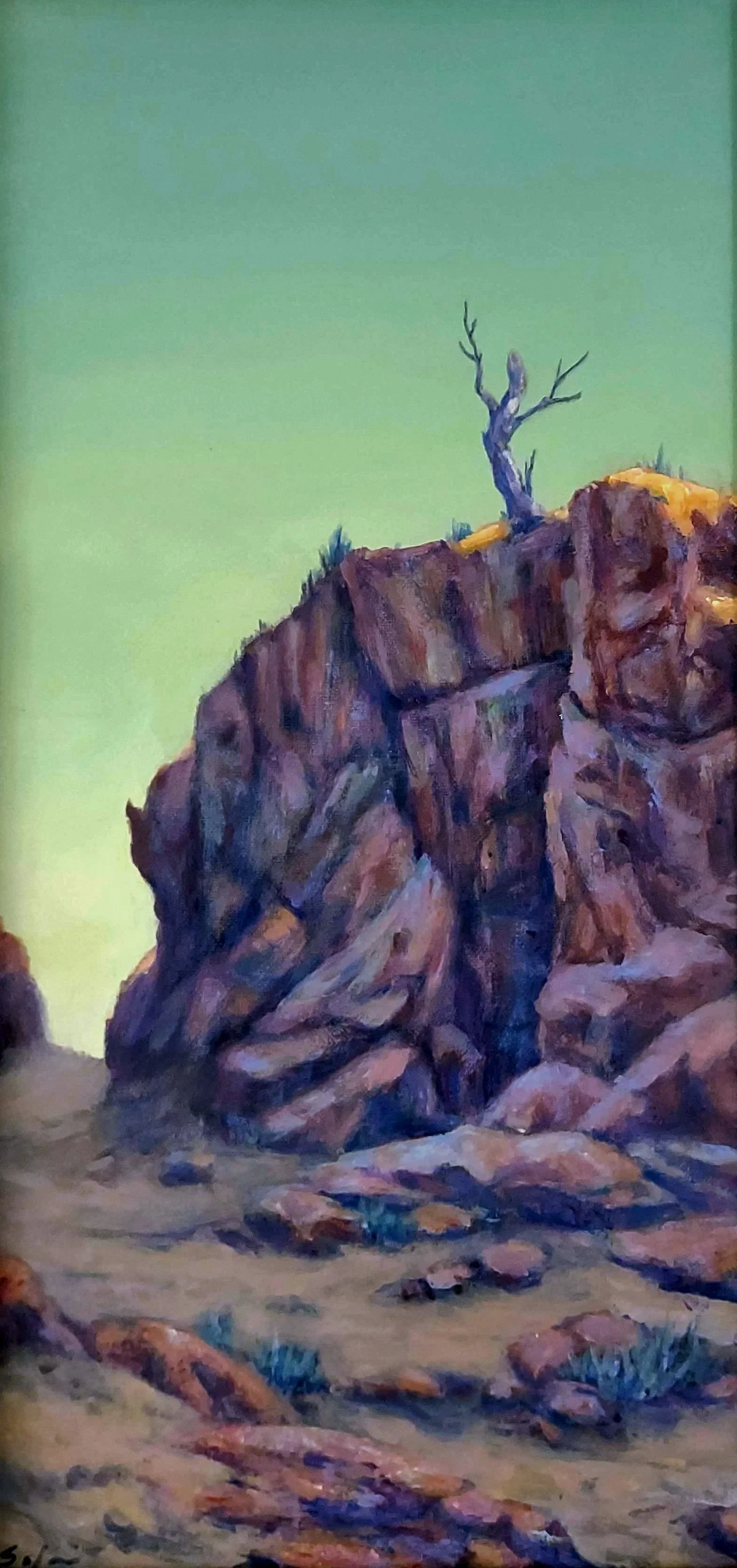 "Canyon Muse"