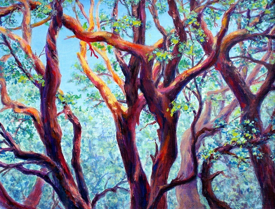 Manzanita in Heat"  (sold)