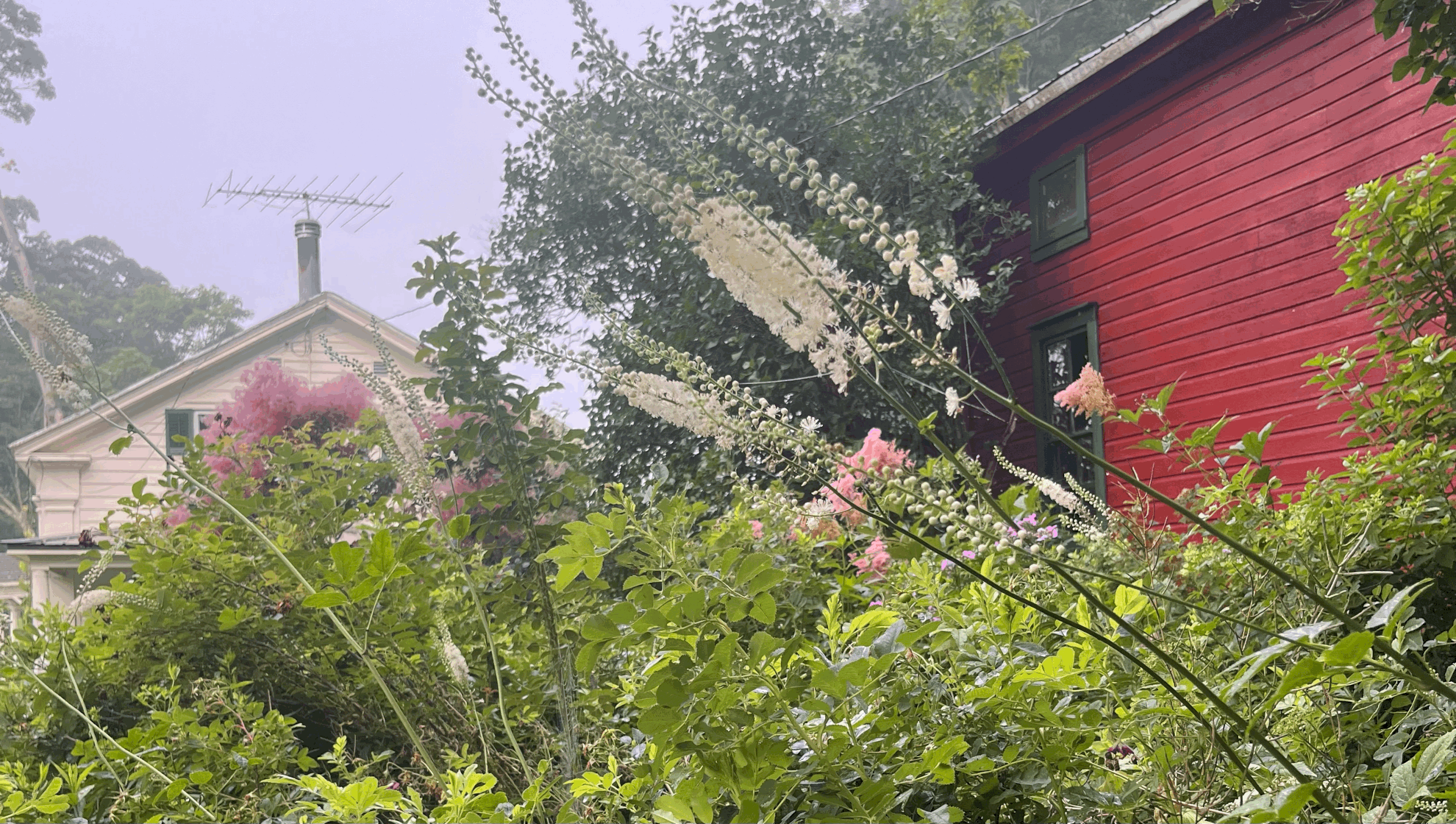 Do Trans Men go through Menopause?