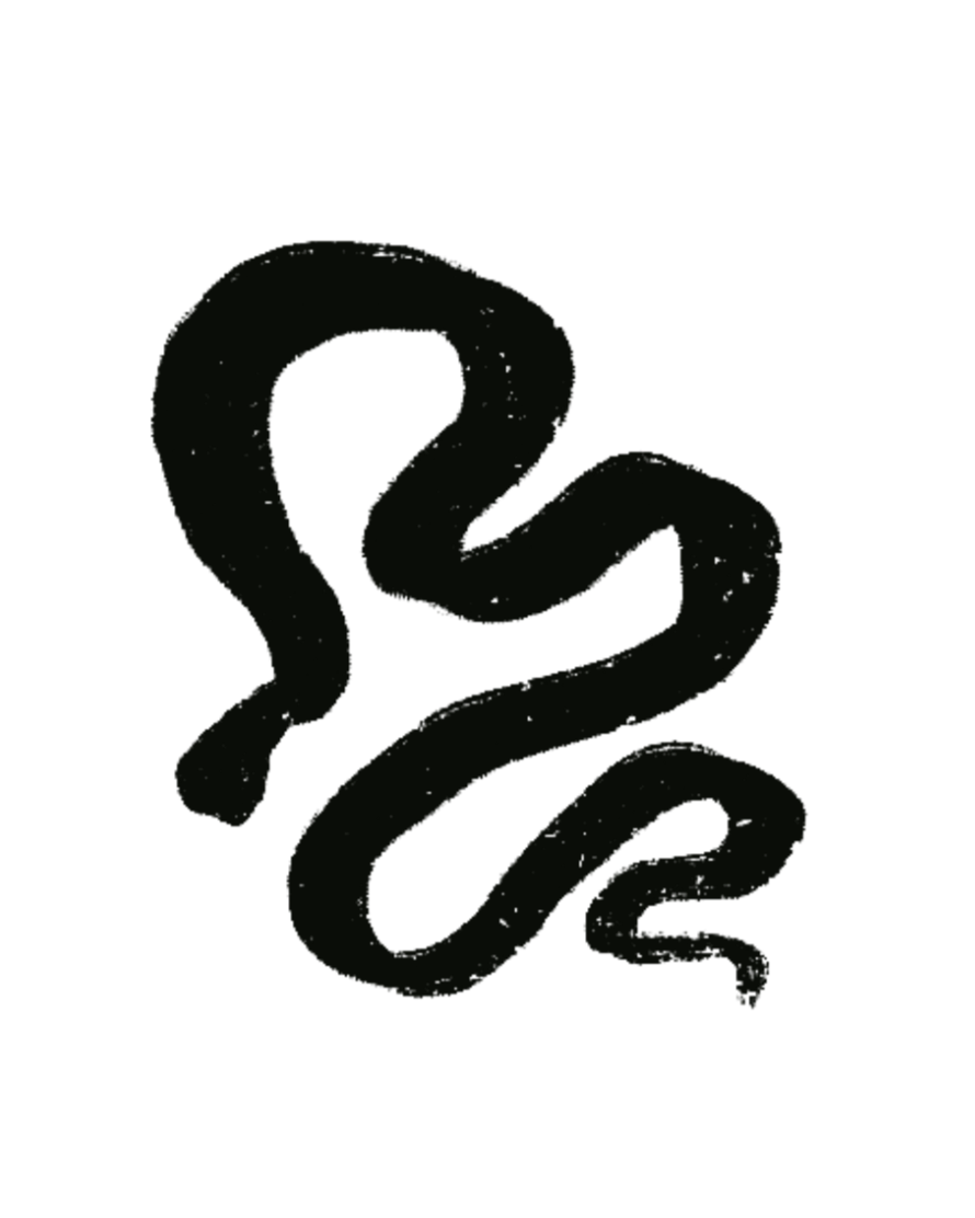 A black background with a faint, approximately snake-shaped, dark line in the center.