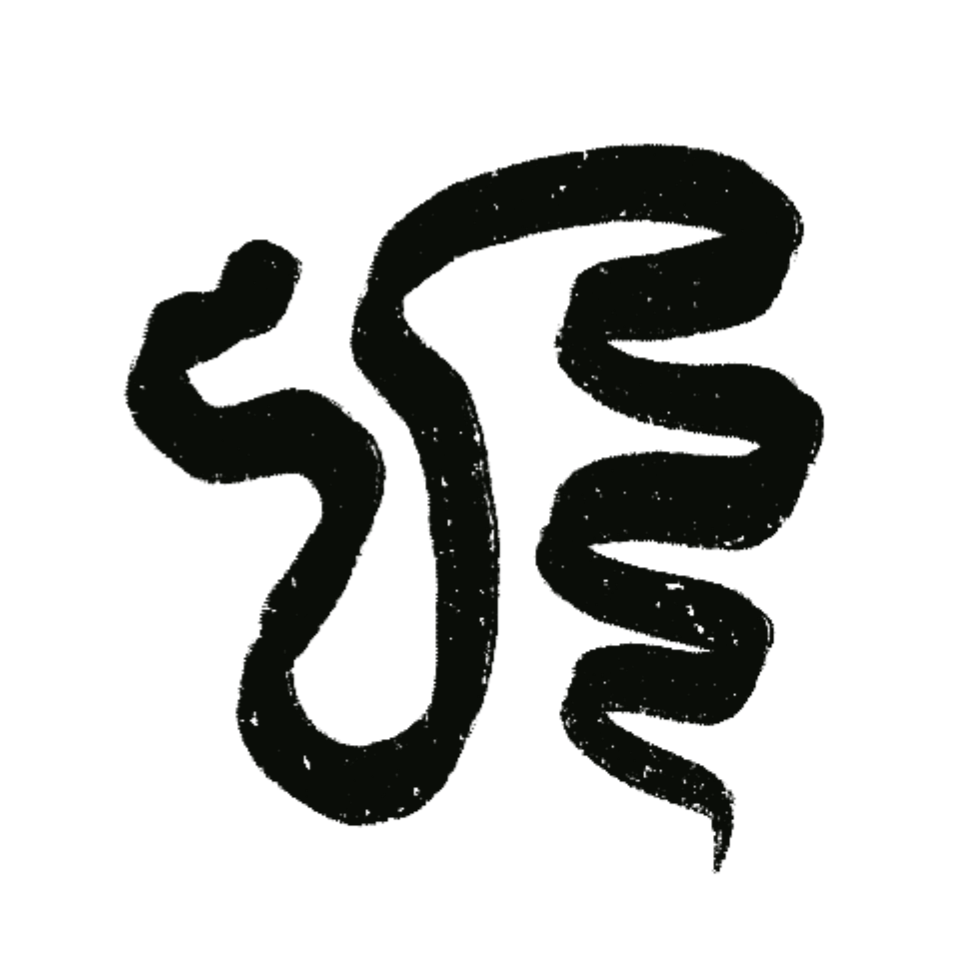 Black background with a faint, abstract, squiggly line.