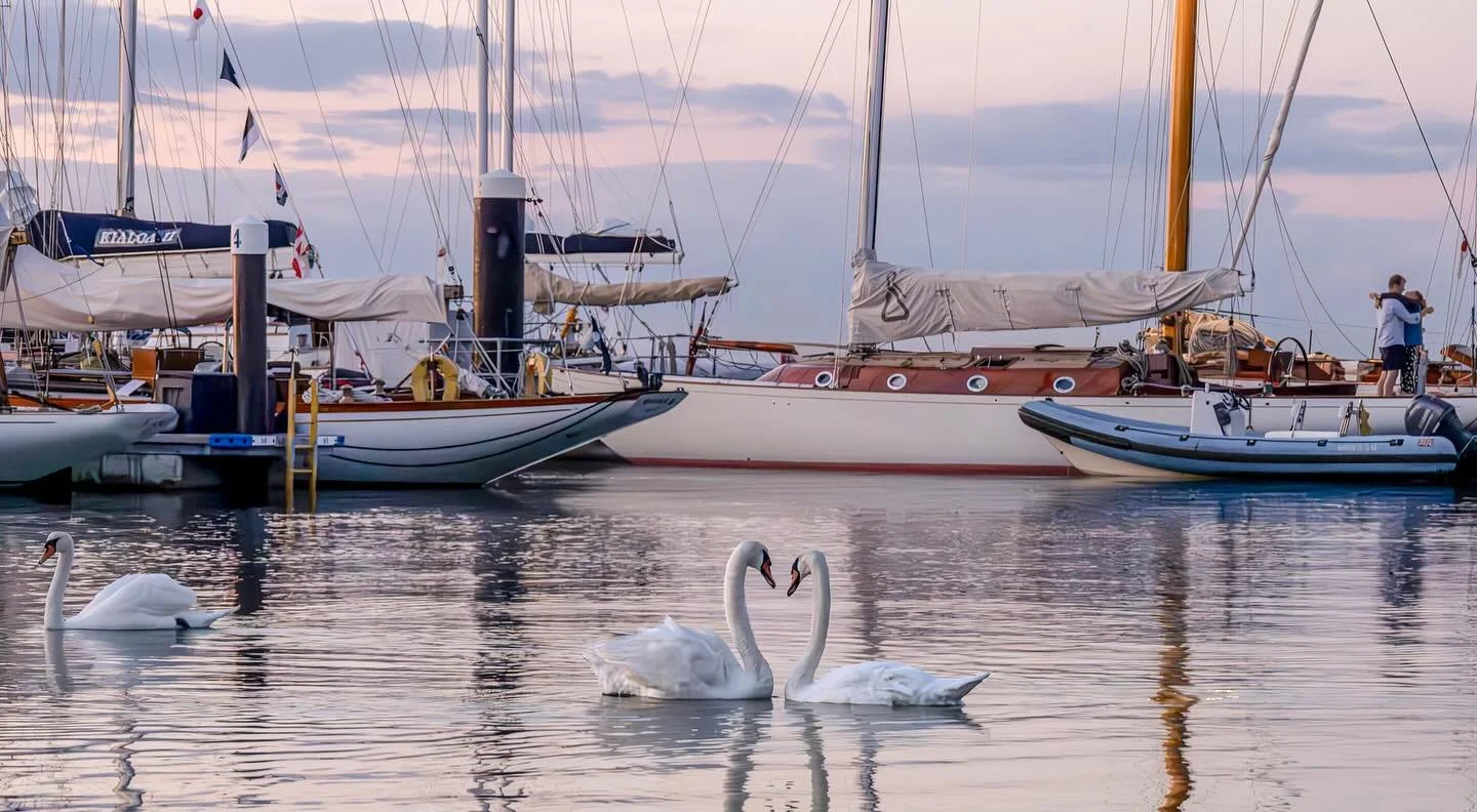 A few more from @madelinemccormick 📸 

#britishclassicweek #regattalife #sailing #summer #sailinglife #onthedock