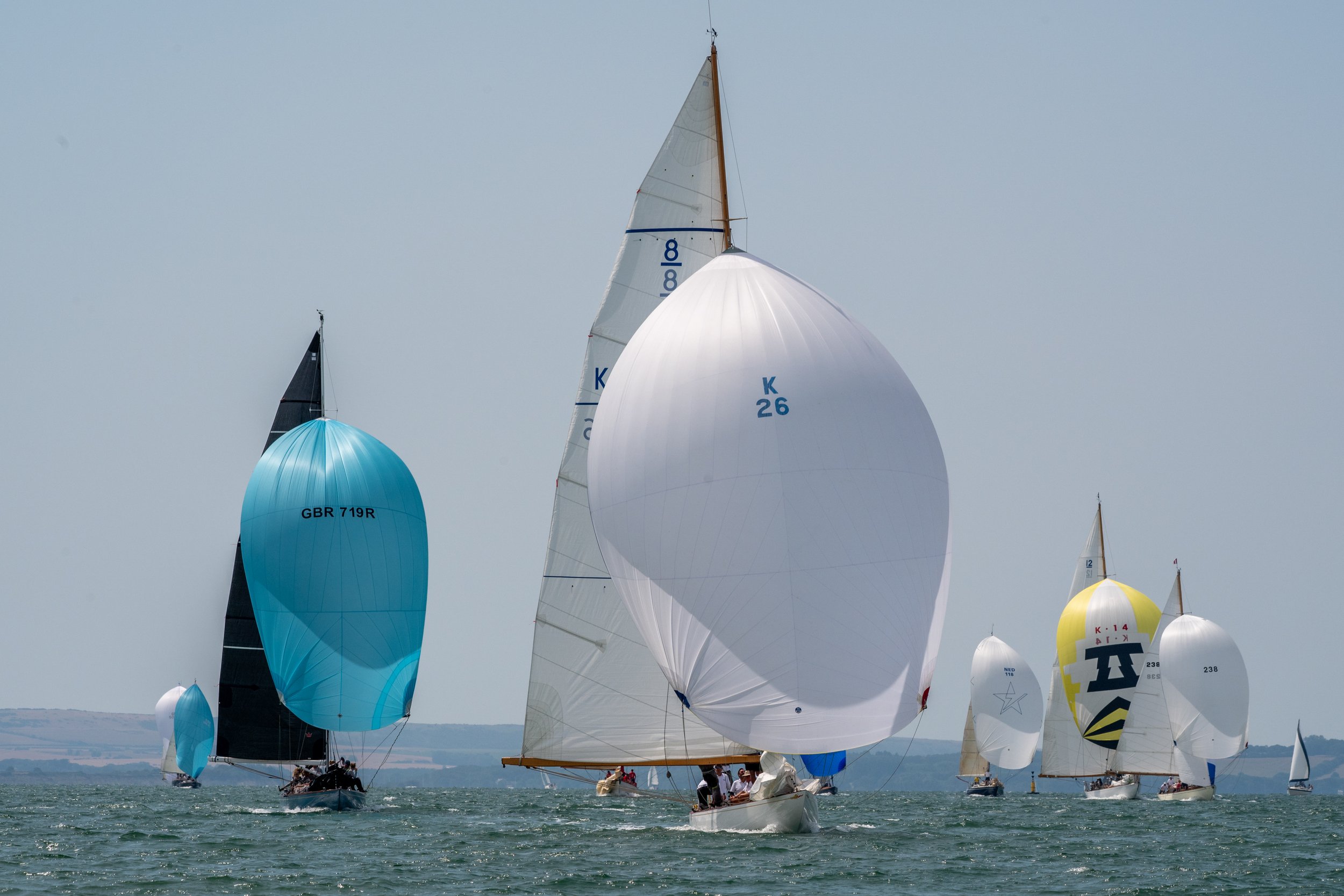 SASKIA AND 100-YEAR-OLD HARLEQUIN CLEAN UP