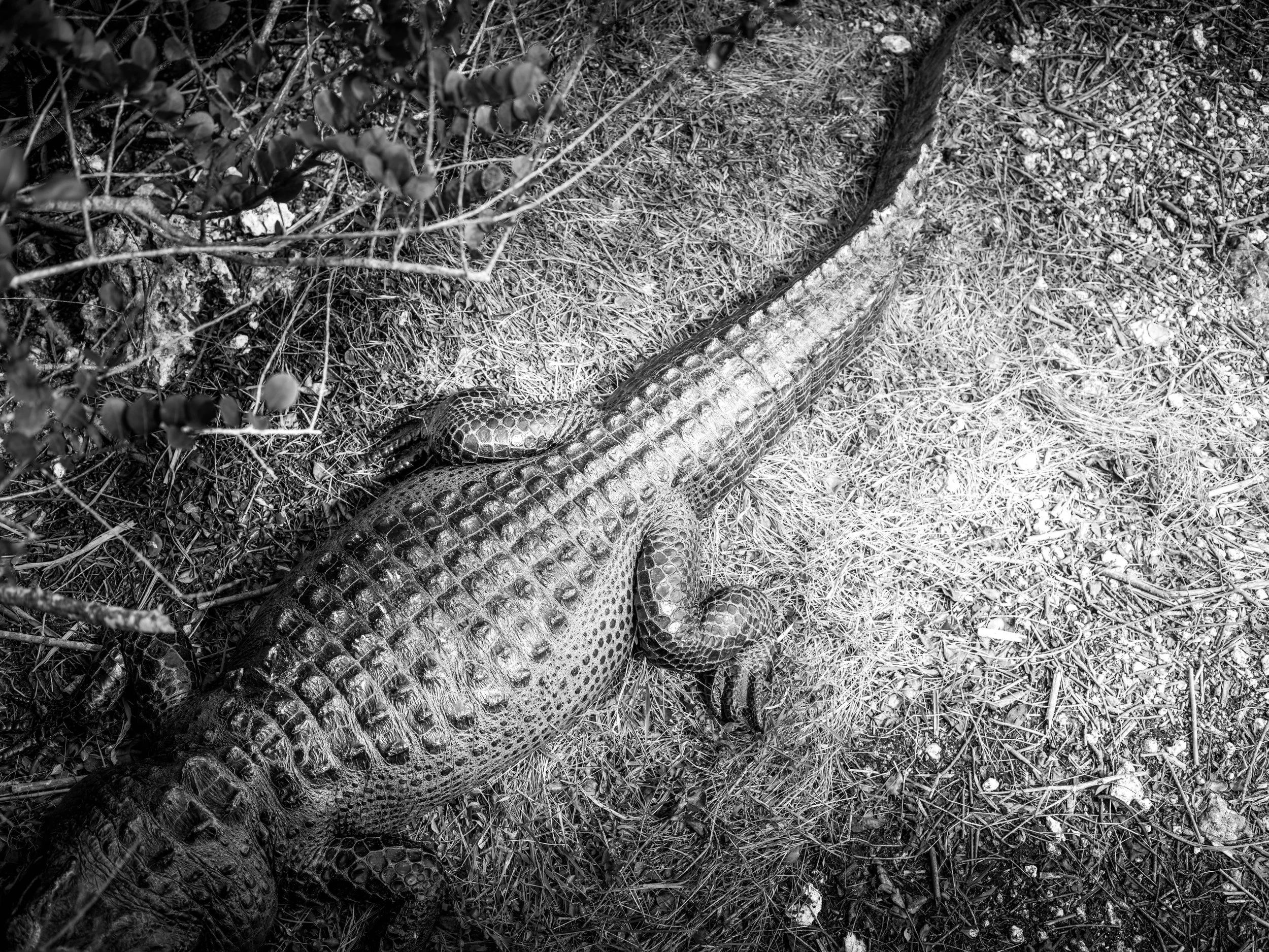 DSCF3880.jpg