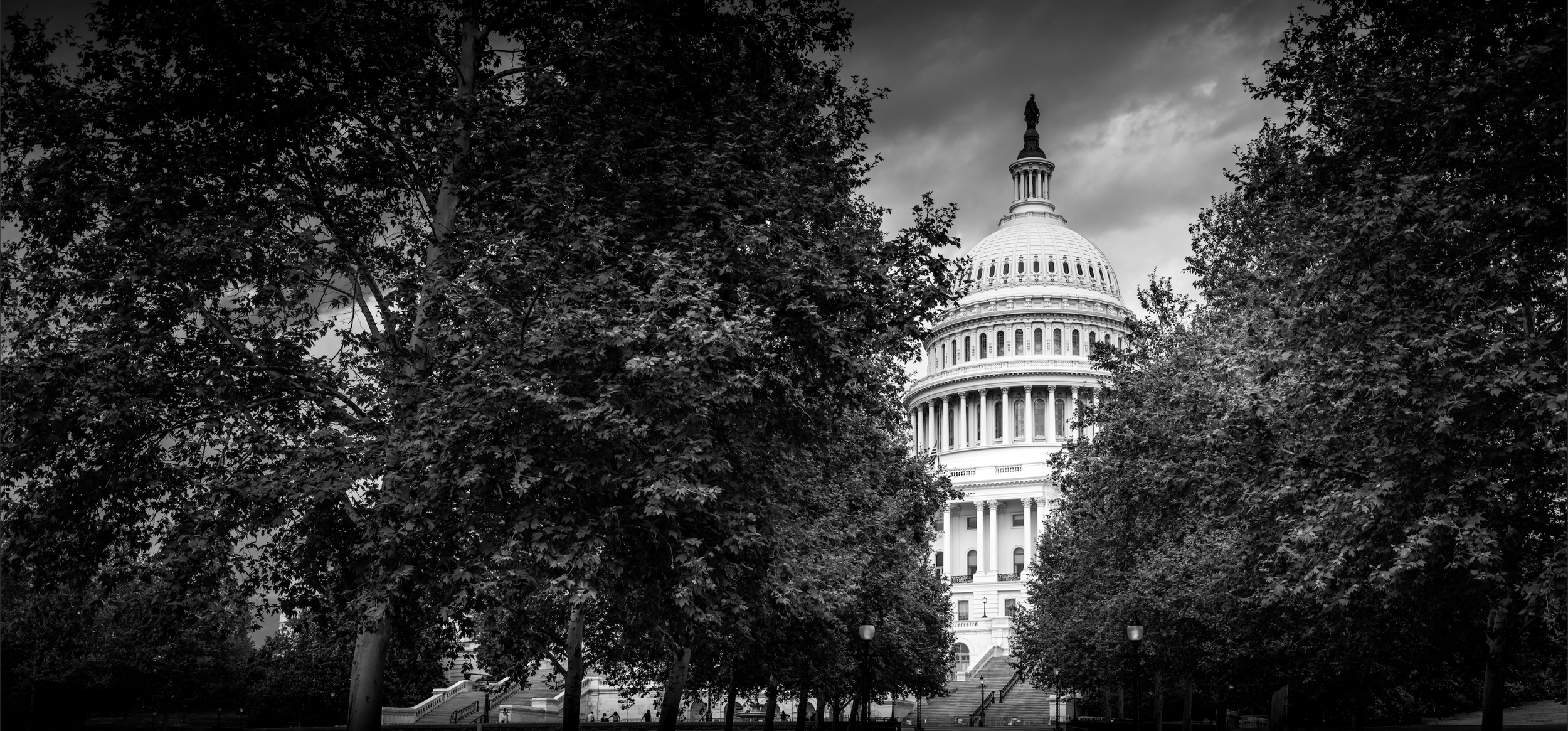 WASHINGTON DC
