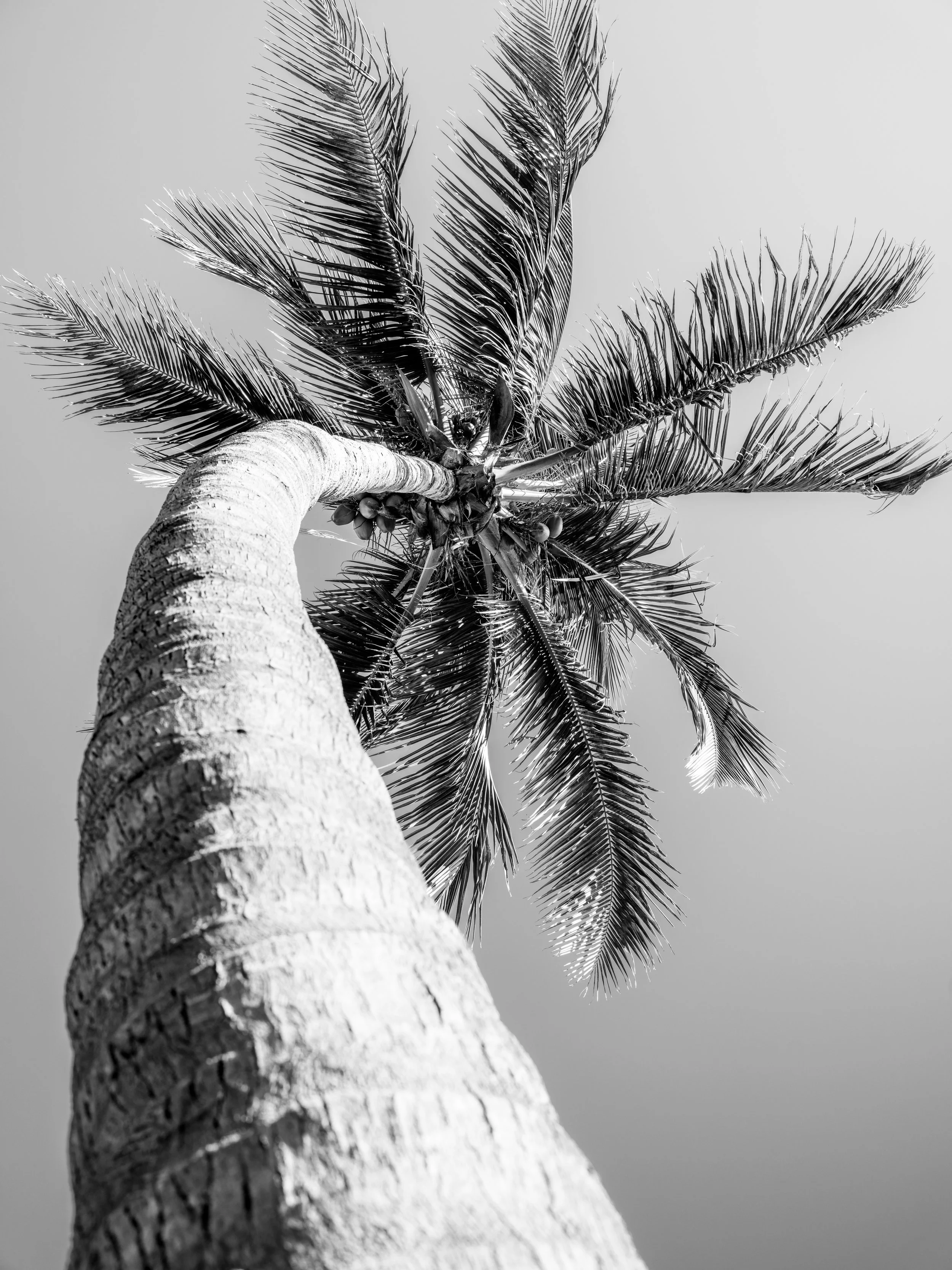 DSCF3772.jpg