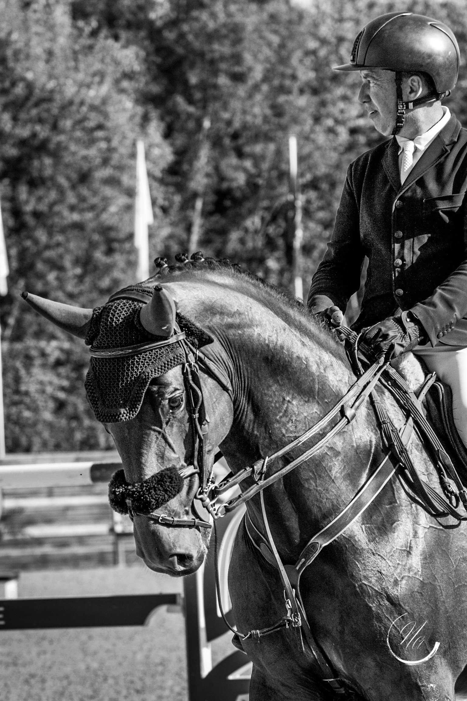 deauville deauvillle 1.jpeg