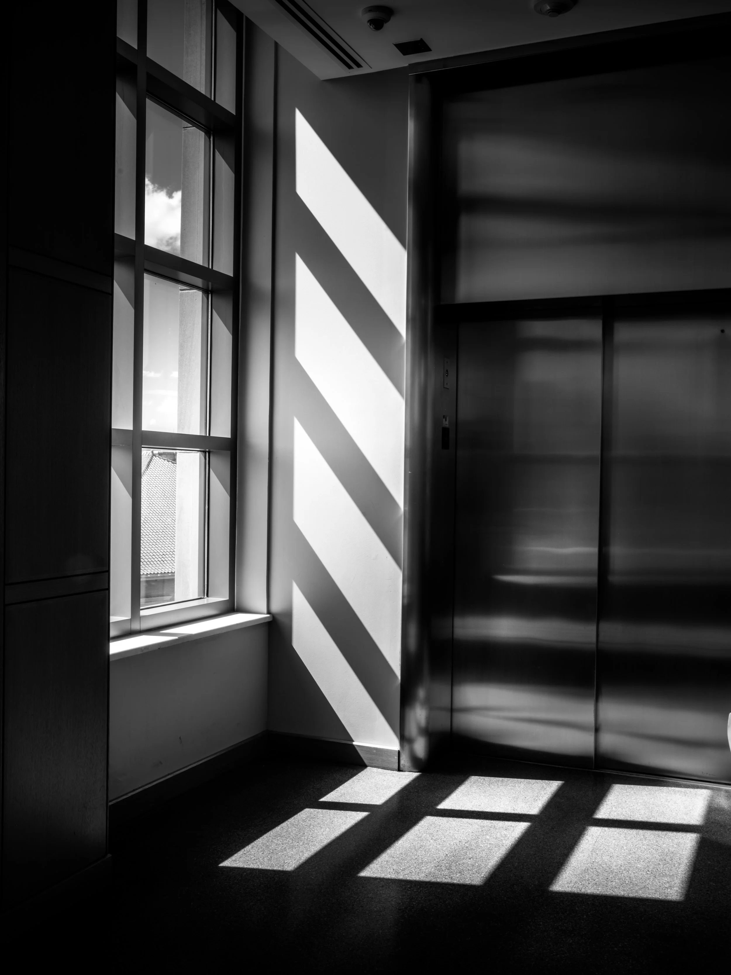 DSCF5595.jpg
