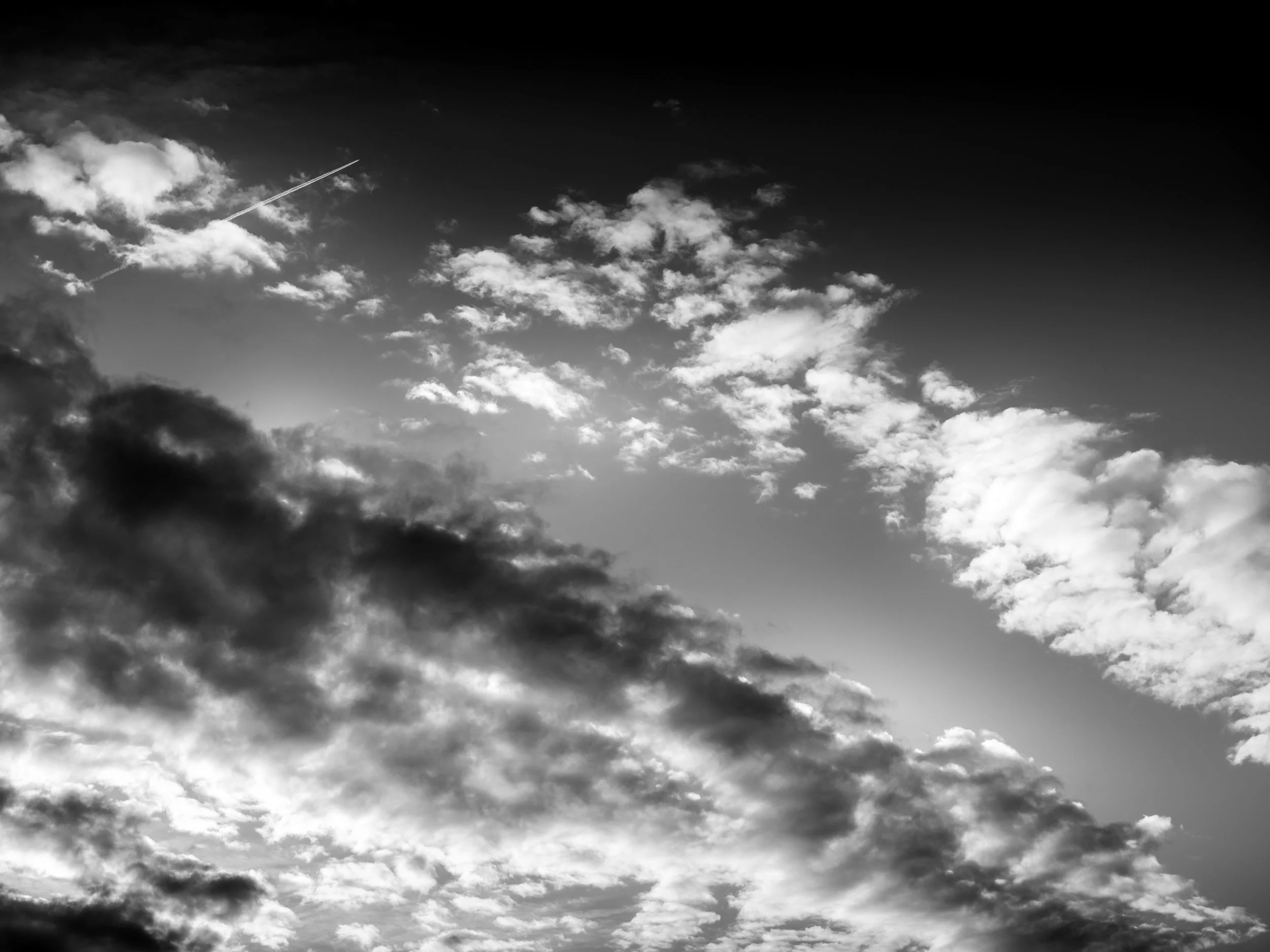 DSCF5701.jpg