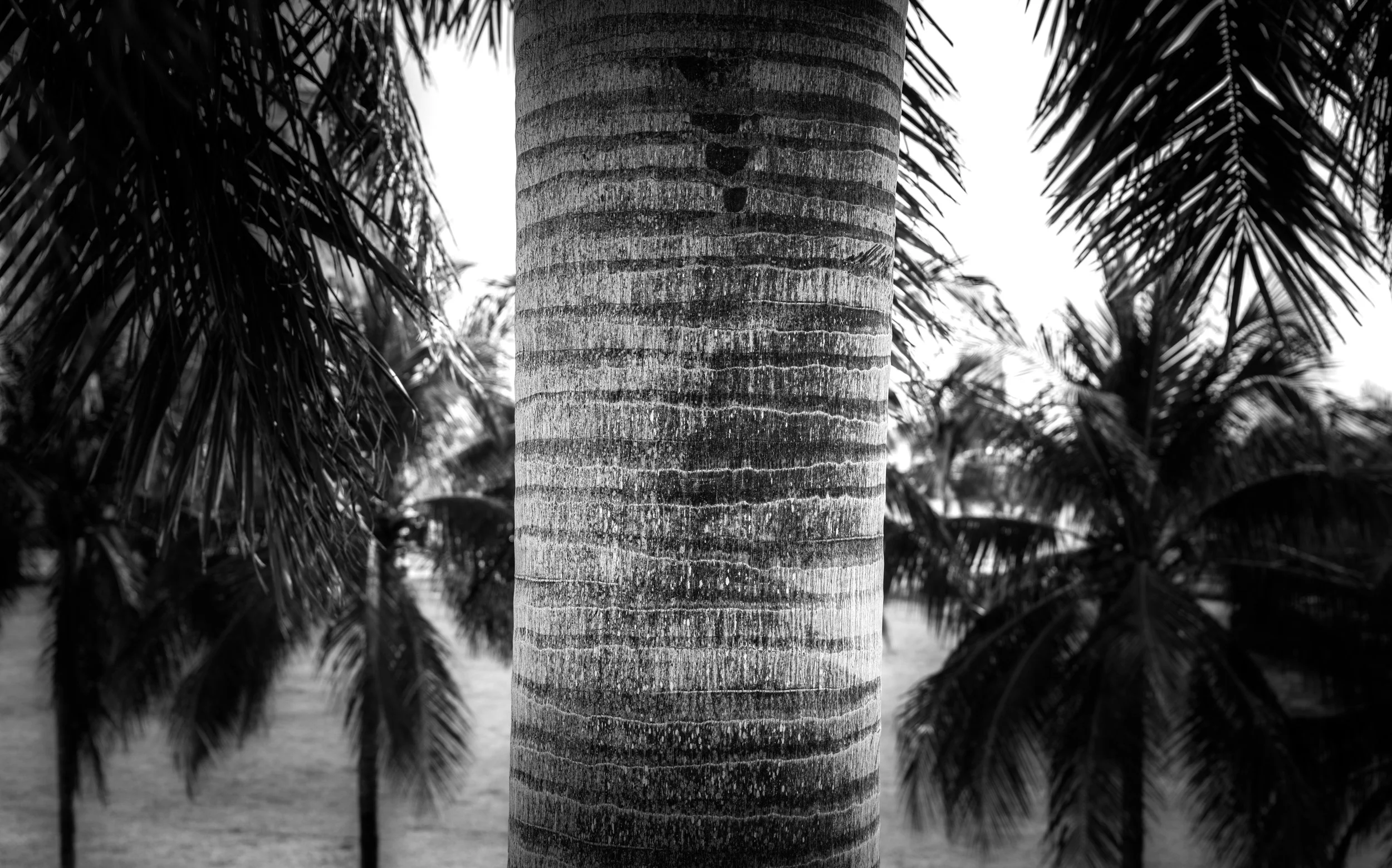 DSCF3539.jpg