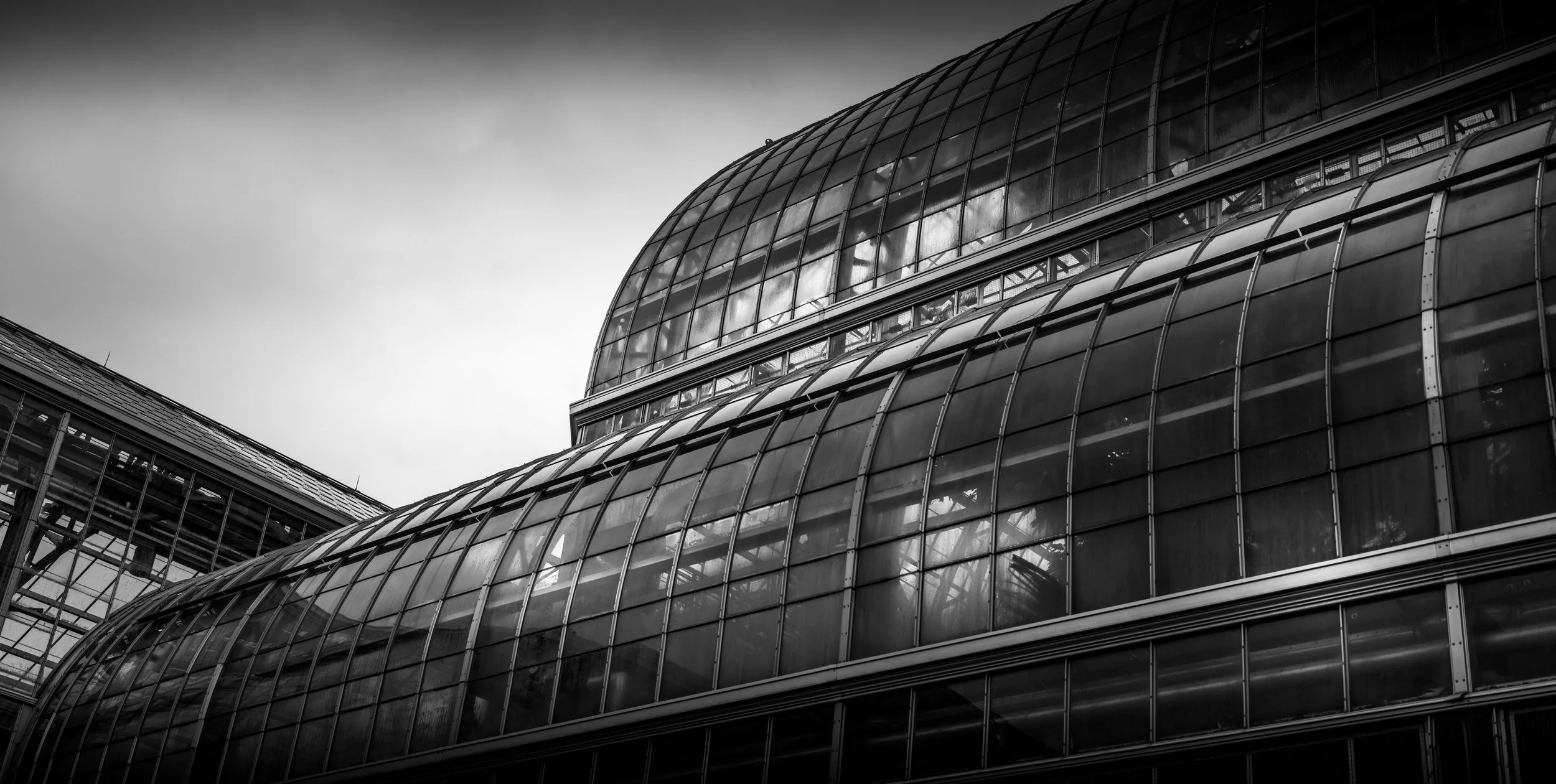 DSCF5013.jpg