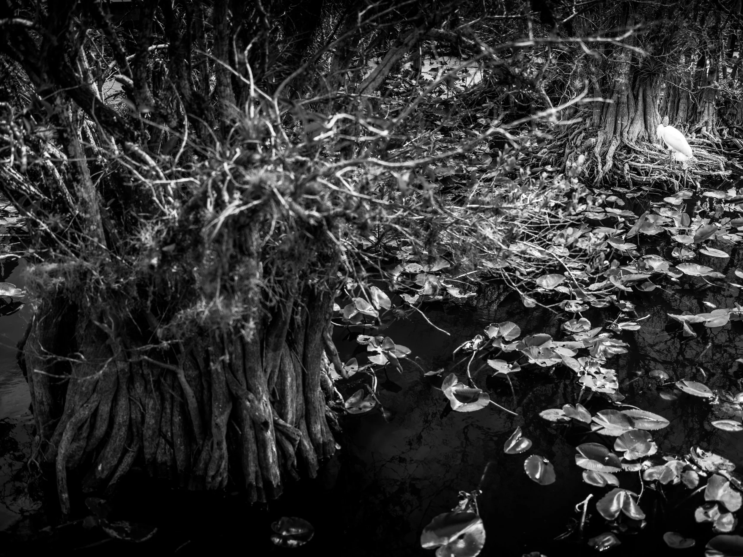 DSCF3852.jpg