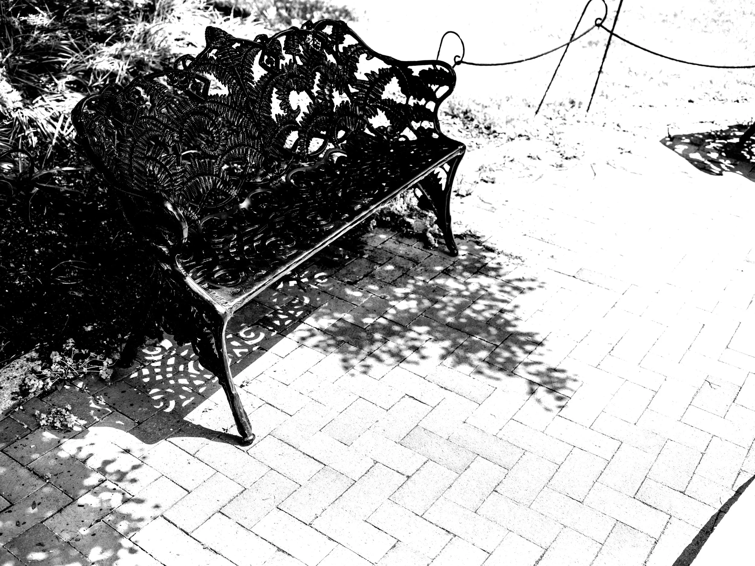 DSCF4666.jpg