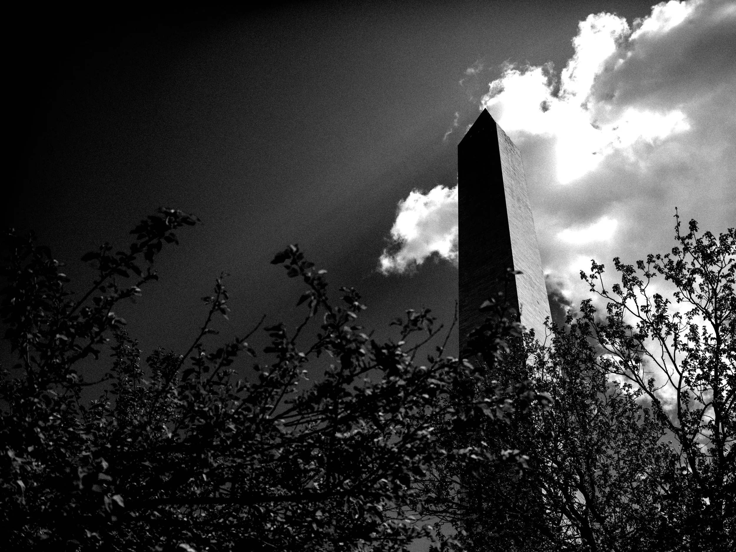 DSCF4543.jpg