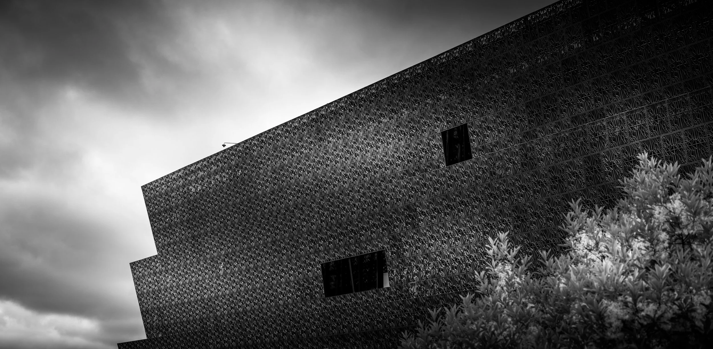 DSCF5063.jpg