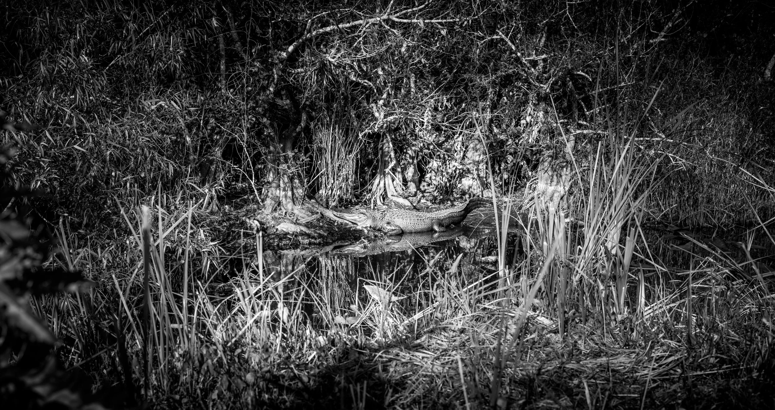 DSCF3790.jpg