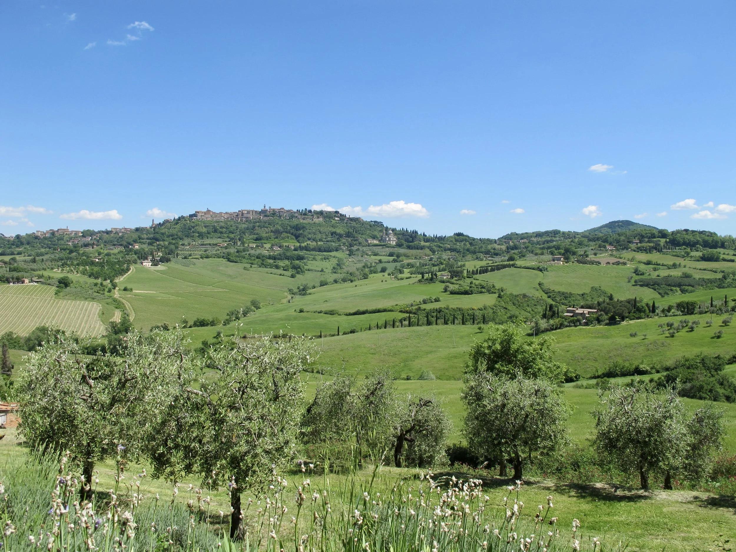 Virtual Workshop: How to leverage the power of delight to unlock the results you crave in your business and life