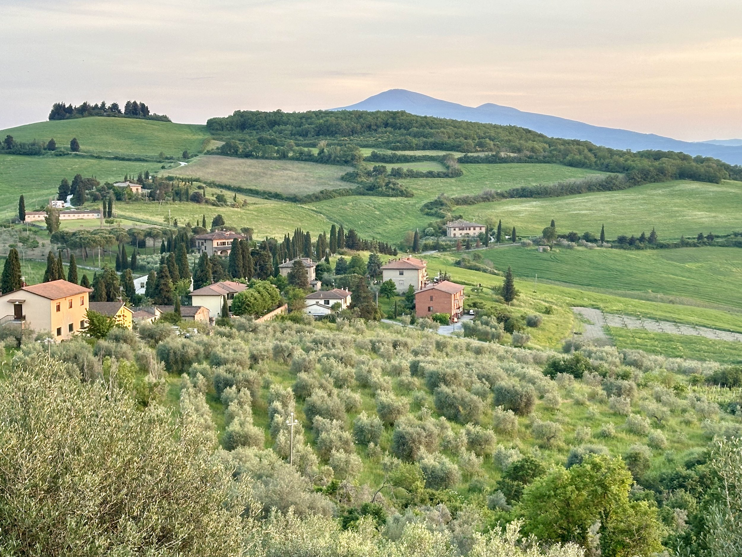 A scenic view of lush green hills and farmland in the countryside with houses, trees, and cultivated fields, and a mountain in the background at sunset.
