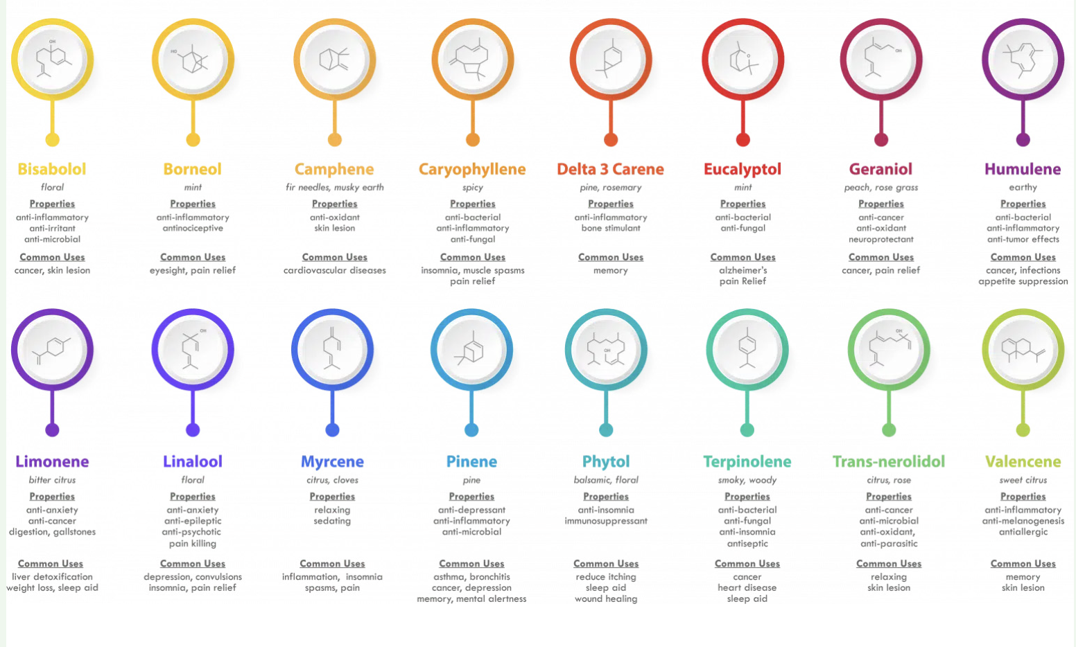 Discovering Terpene Profiles: Personalizing Your Approach to Cannabis