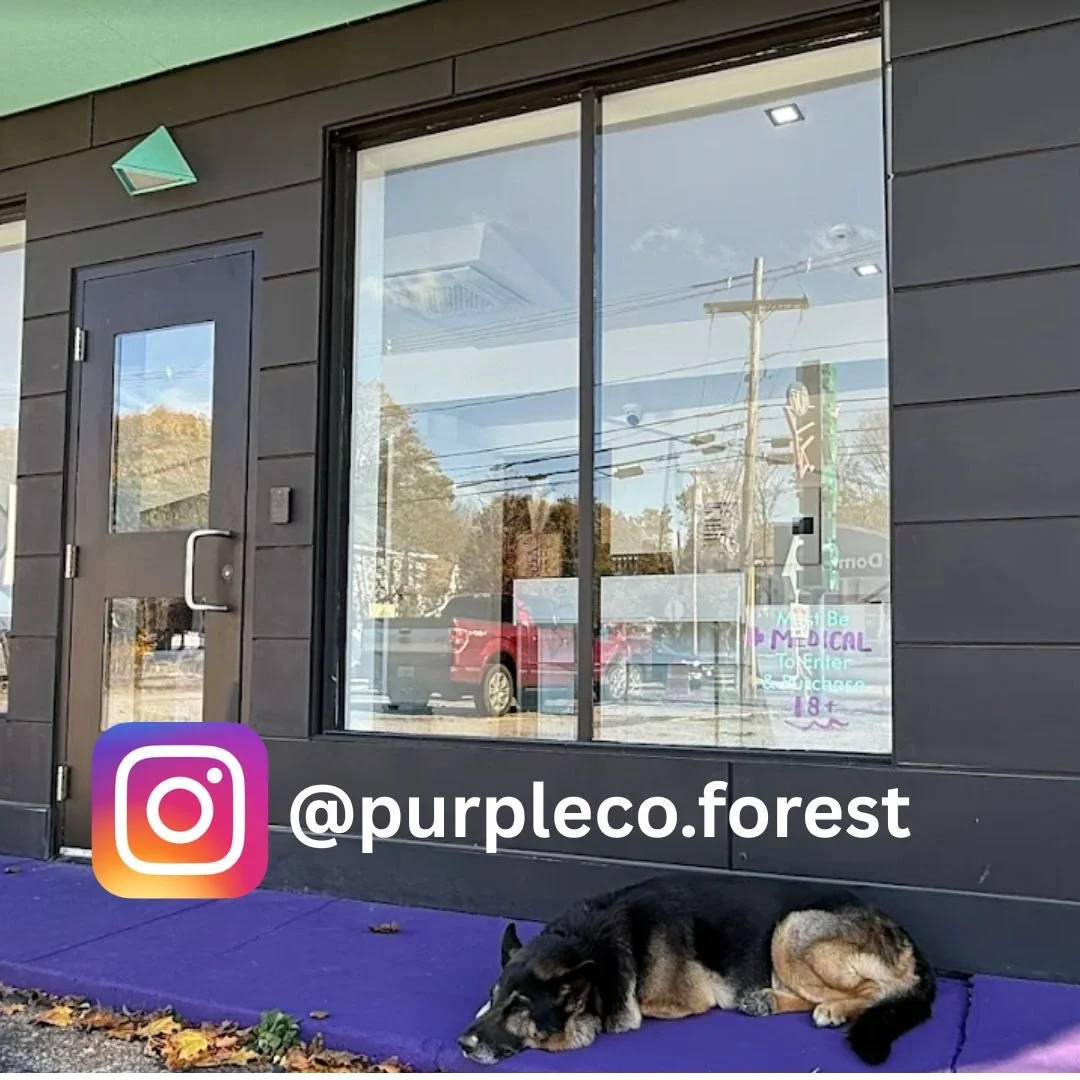 Purple Co. Forest Avenue Portland Follow On Instagram 