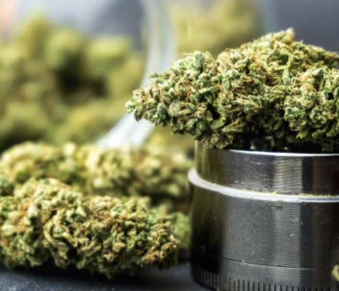 Close-up of cannabis buds in a grinder and on a table.