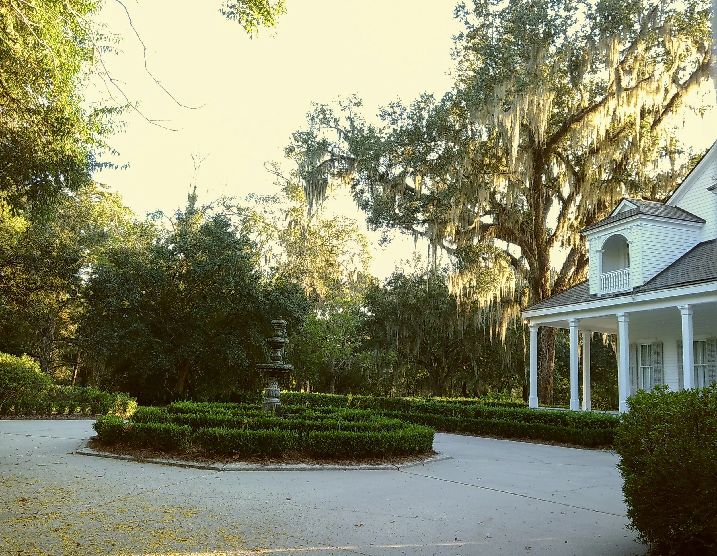 A white house with a porch surrounded by lush green trees, including large oak trees draped with Spanish moss, and a decorative fountain in a garden area.