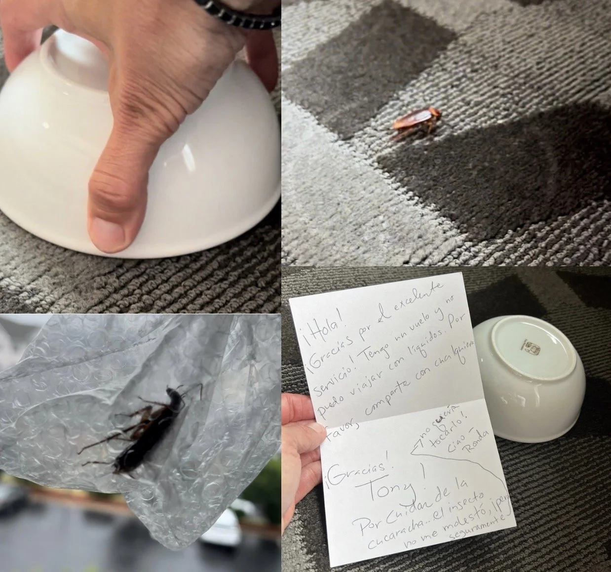 And There I Was…Empathy for a Cockroach