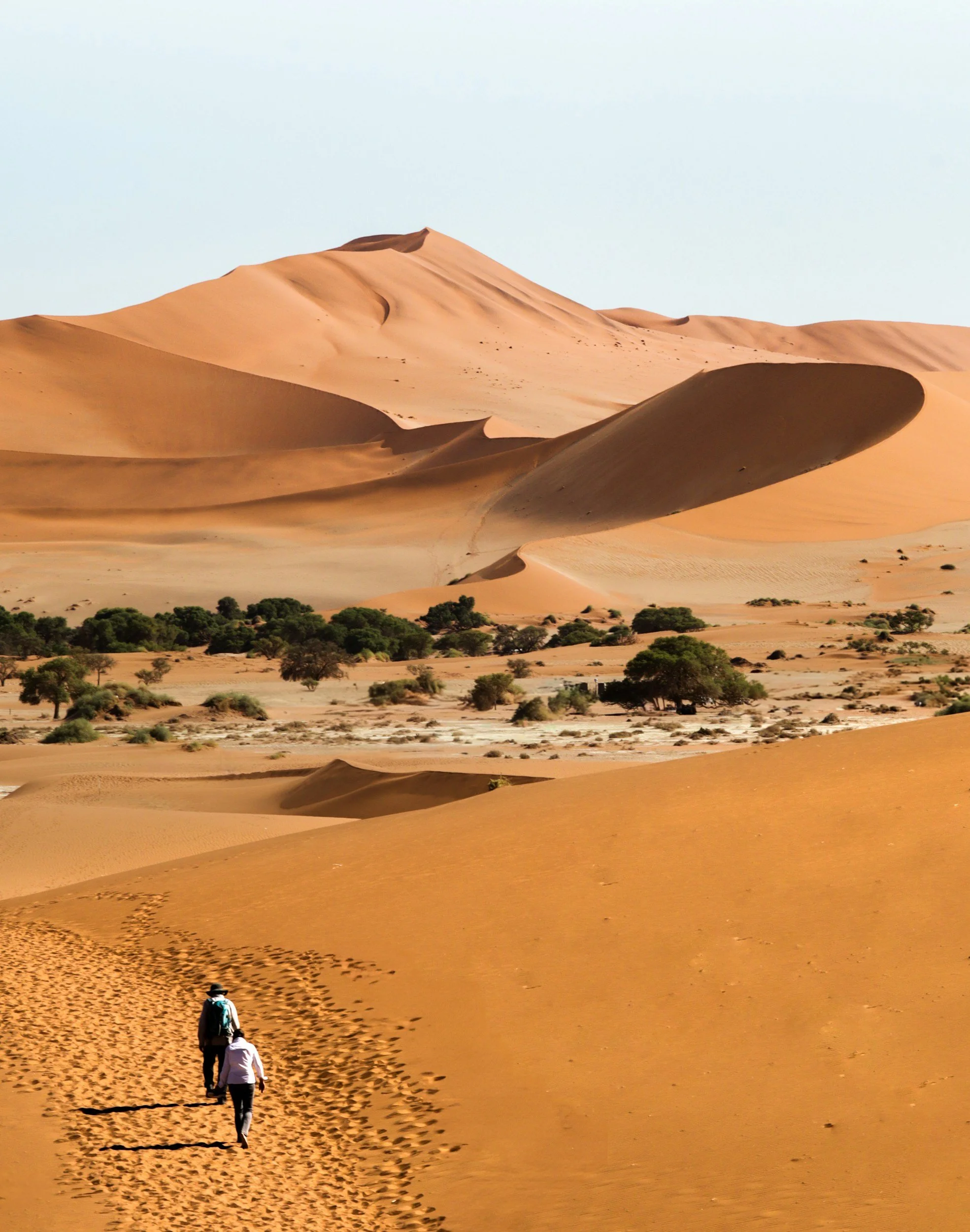 Due persone che camminano attraverso un deserto di sabbia con dune alte e sparse piante verdi sotto un cielo chiaro.