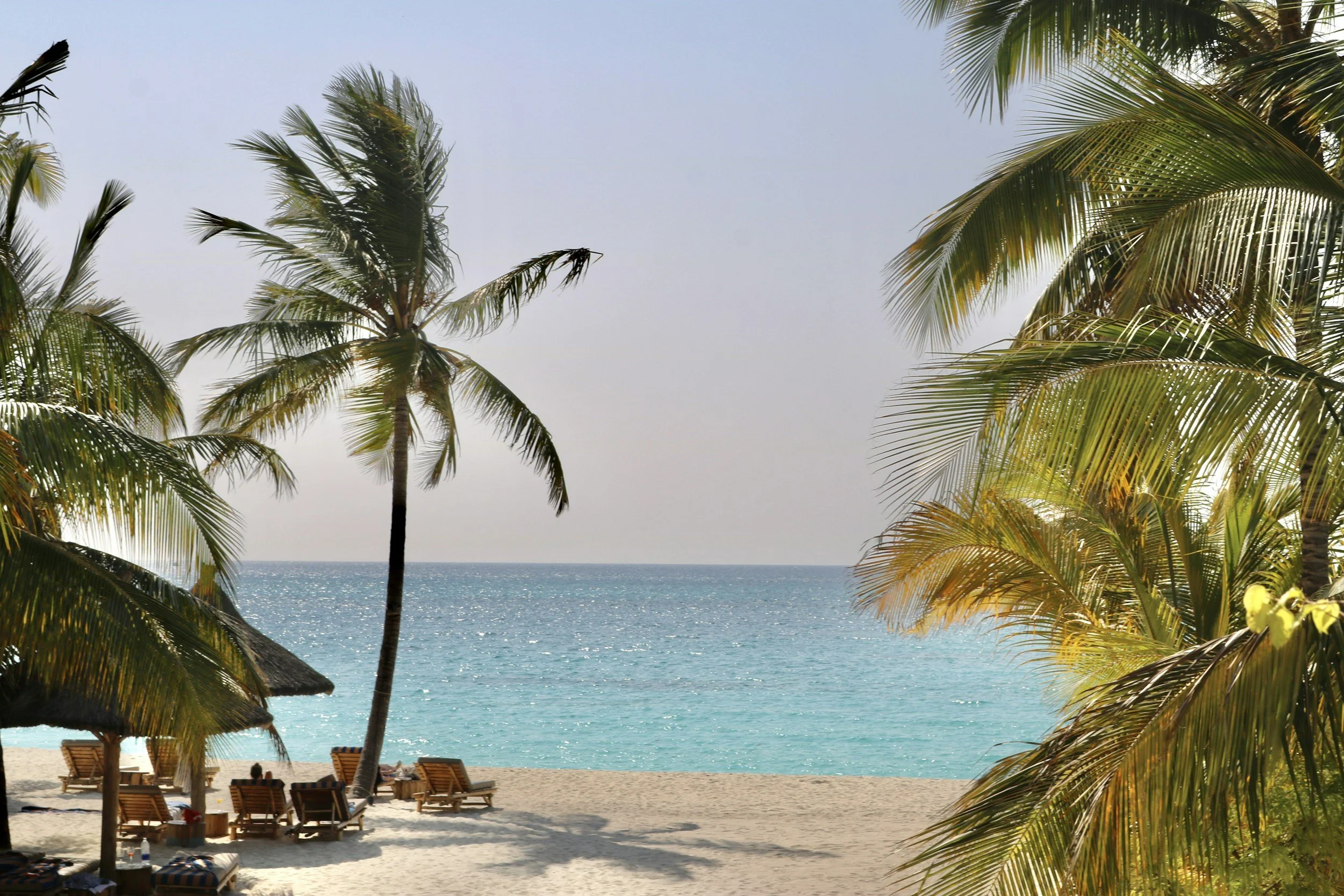 Spiaggia tropicale con palme, ombrelloni di paglia e sedie a sdraio sul sabbioso litorale che guarda un mare turchese sotto un cielo chiaro.