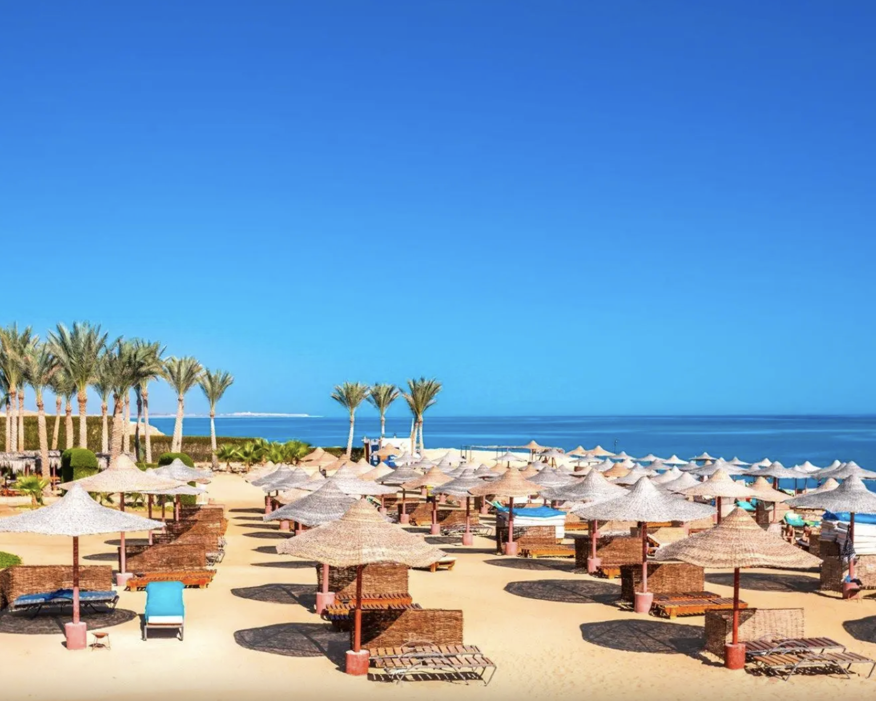 Spiaggia con ombrelloni di paglia, sdraio, palme, mare e cielo blu