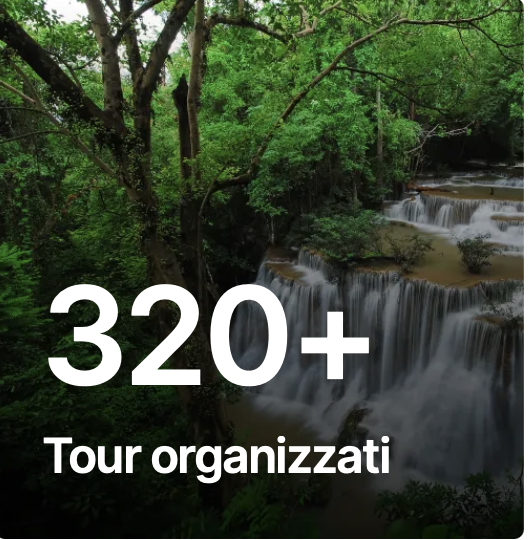 Foresta con cascate e acqua corrente