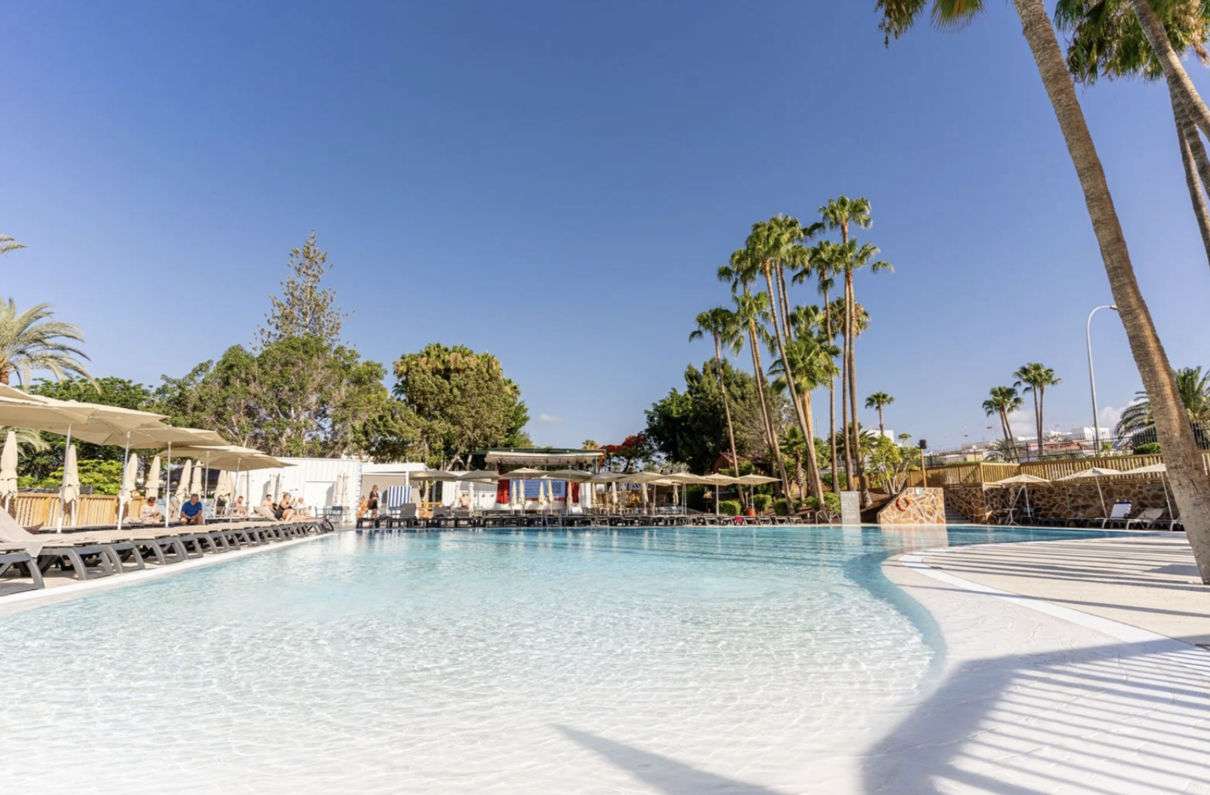 Piscina all'aperto con sdraio e ombrelloni, palmeti e alberi verdi, cielo azzurro, strutture per il relax e persone che si godono il sole.