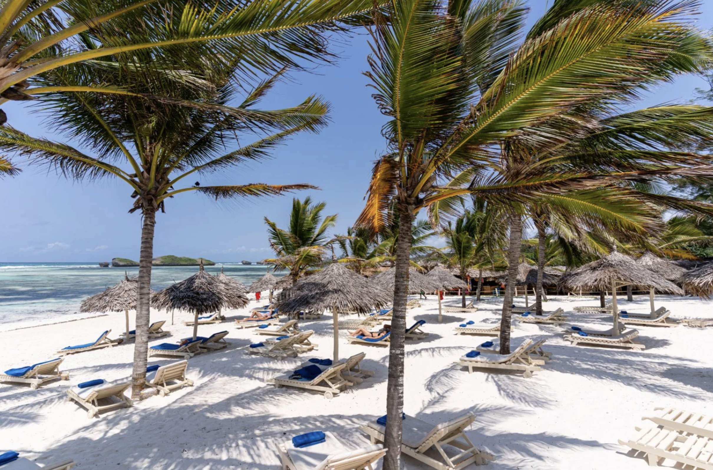 Spiaggia tropicale con ombrelloni di paglia, sedie a sdraio e palme verdi sotto un cielo sereno