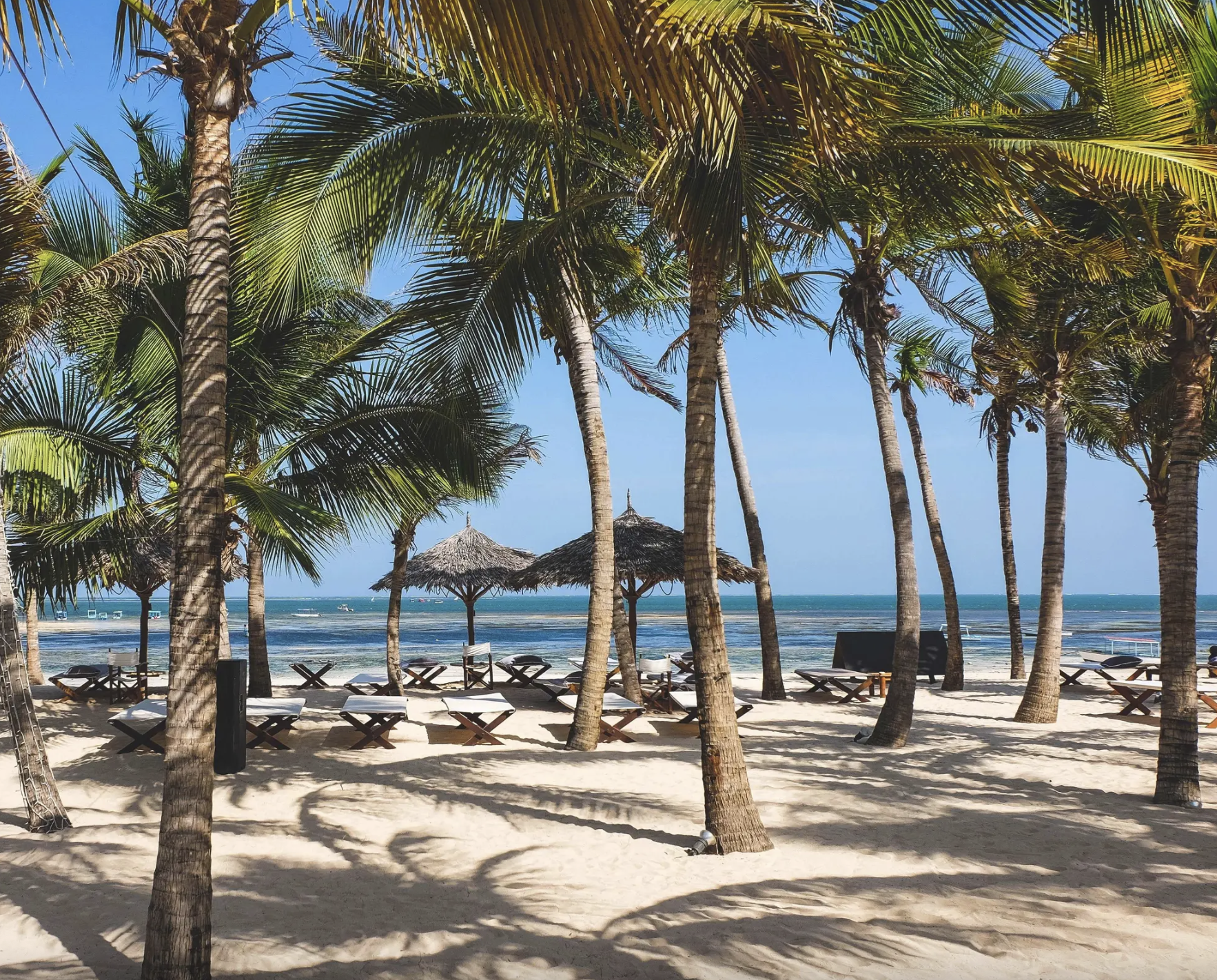 Spiaggia con sabbia chiara, piante di palma, ombrelloni di paglia e sedie a sdraio tra gli alberi, vista sull'oceano con onde e cielo blu chiaro.