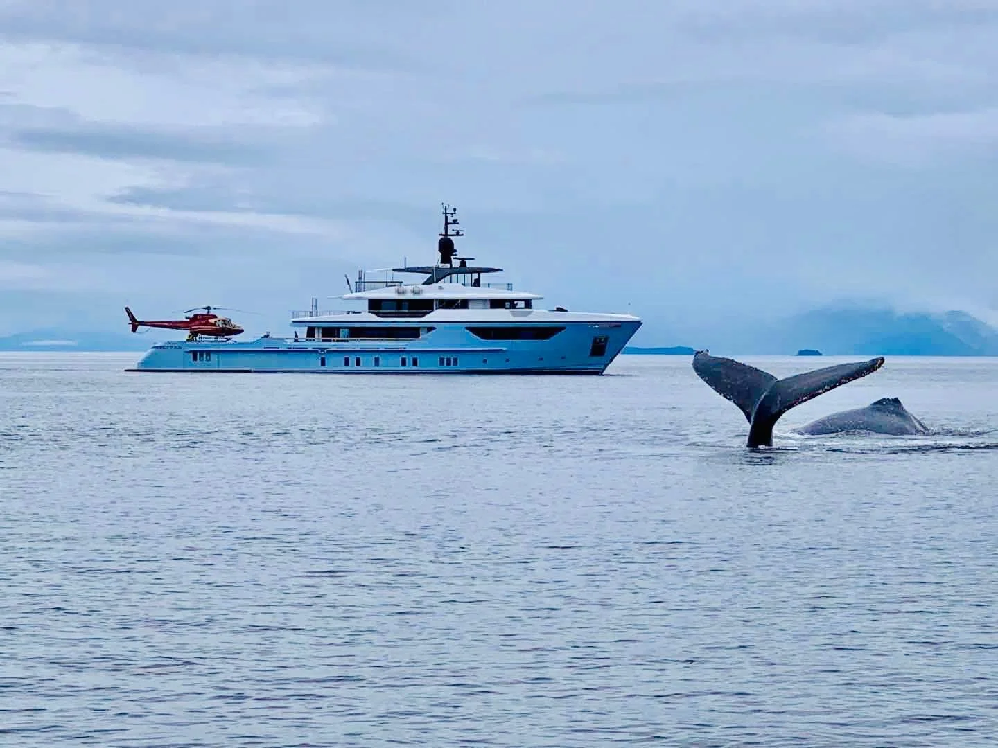 A large yacht with a helicopter on its deck and a whale's tail visible above the water in the ocean.