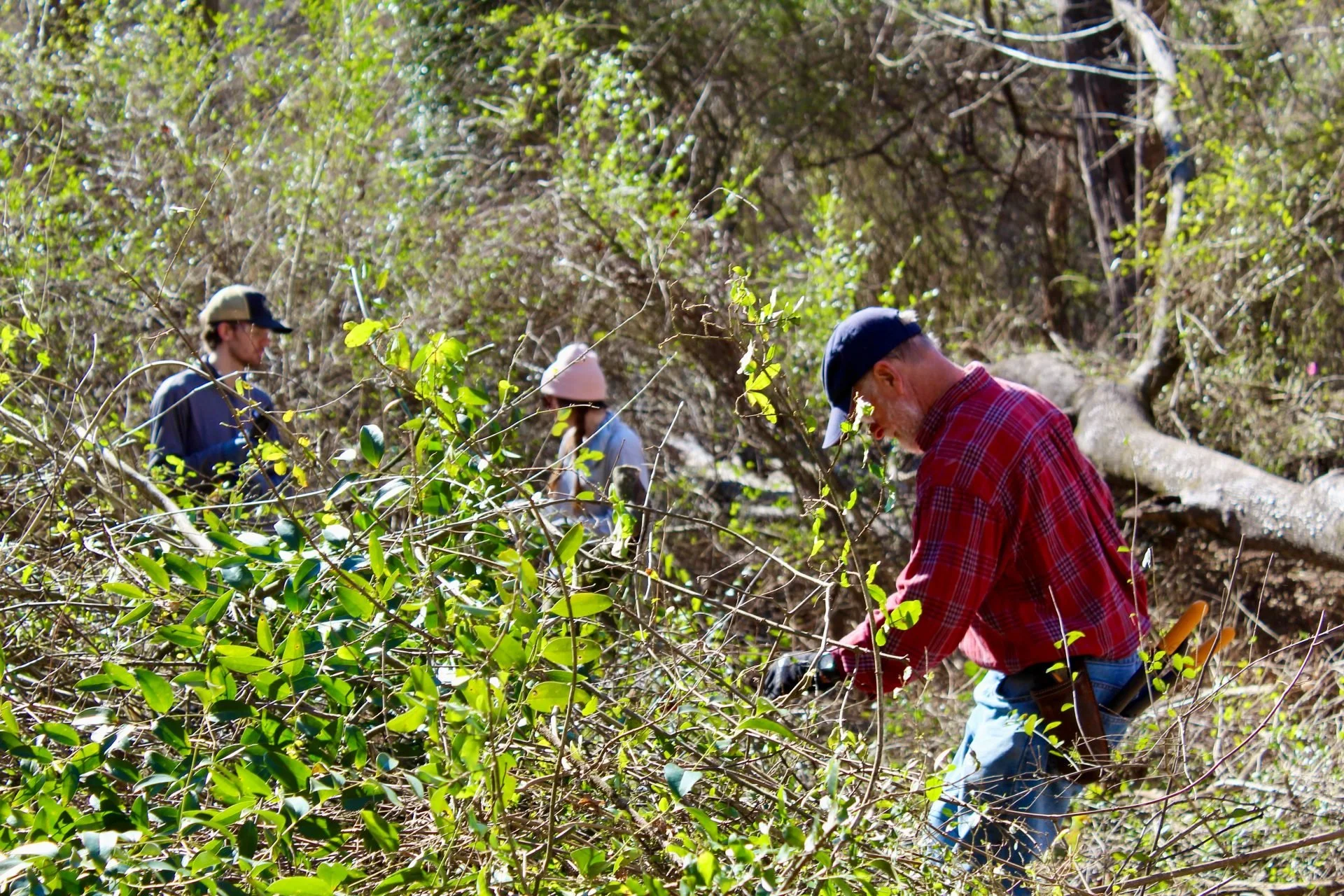 Invasive Plant Workshop 