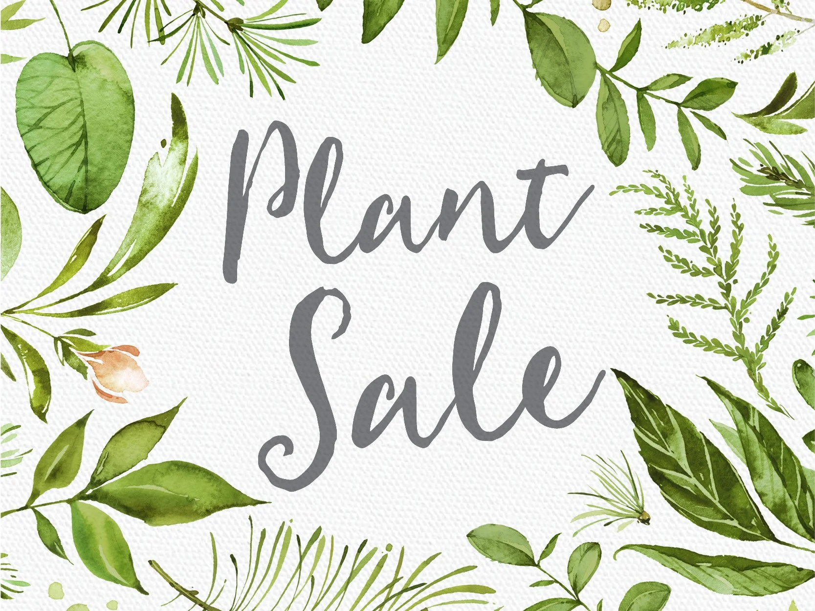 Annual Plant Sale