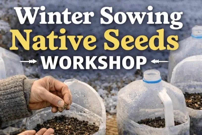 Winter Sowing
