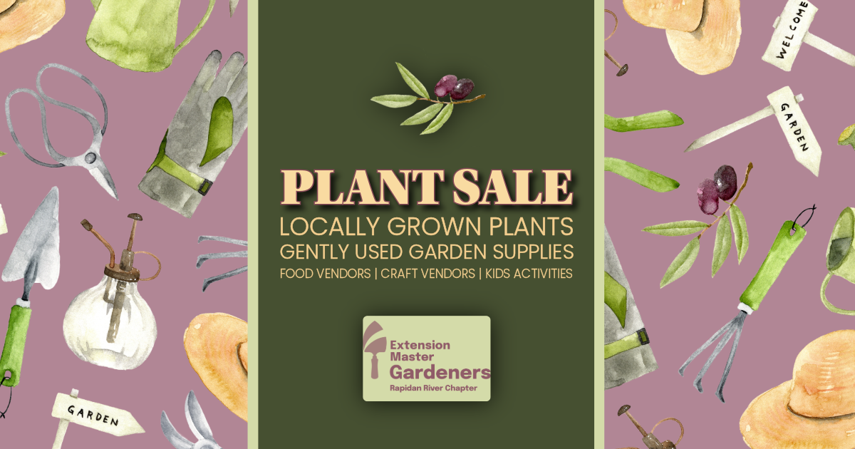 Annual Plant Sale