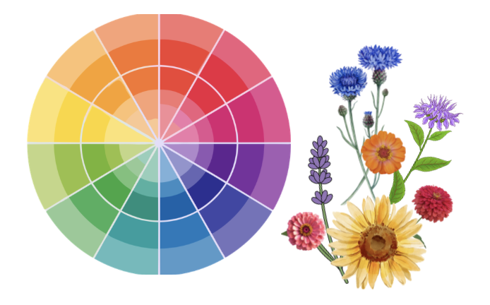 Floral Workshop Series - Advanced Class - Color Theory