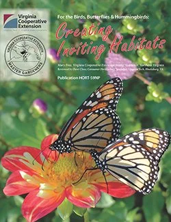 For the Birds, Butterflies & Hummingbirds: Creating Inviting Habitats