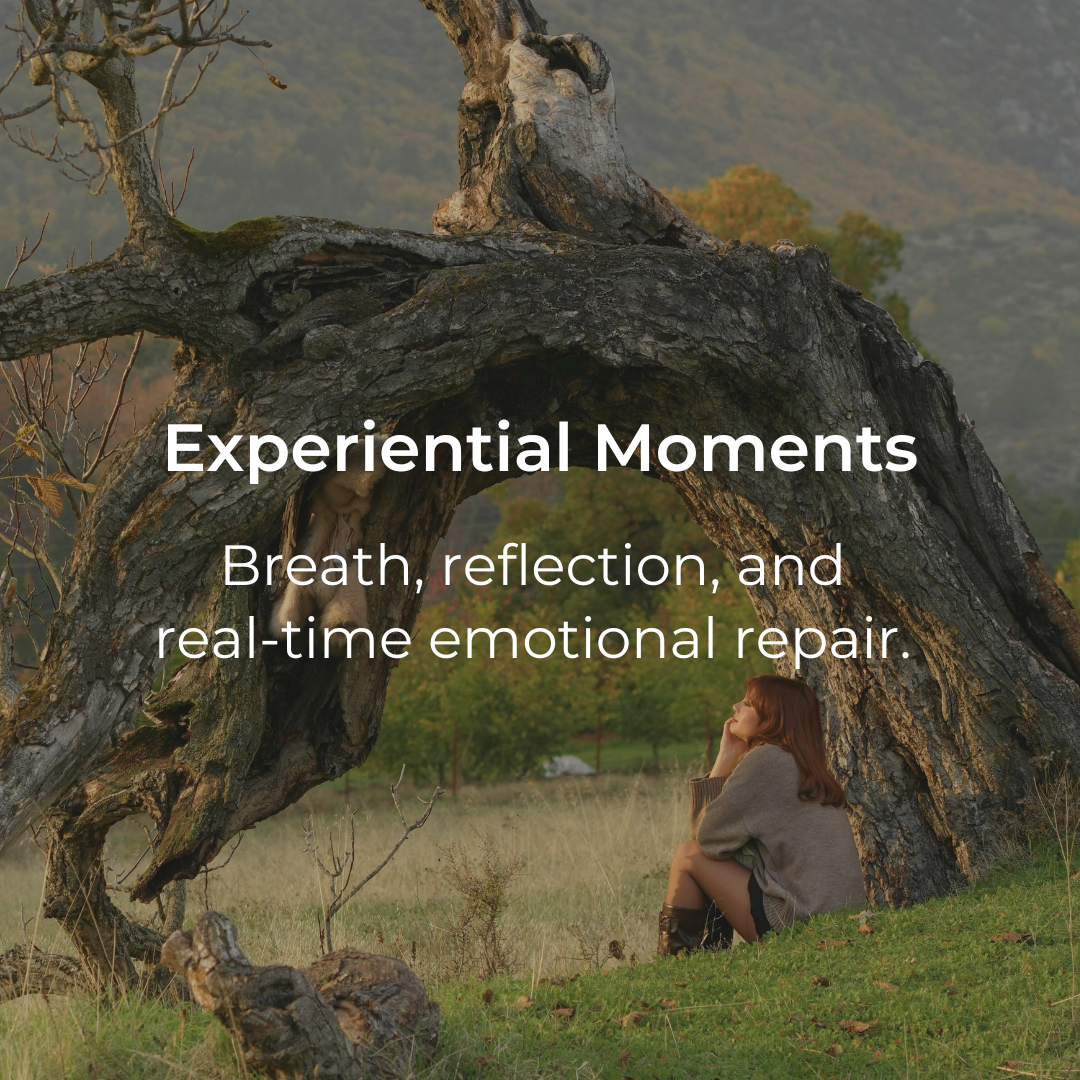 A woman sitting on the ground in front of a large, old, gnarled tree with a hollow in it, in a field with trees and mountains in the background, during autumn. Overlaid text reads: 'Experiential Moments. Breath, reflection, and real-time emotional repair.'