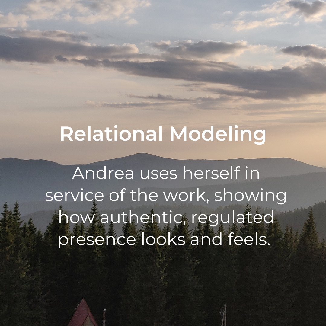 A scenic view of mountains and a forest with a cloudy sky, overlaid with text about relational modeling and authenticity.