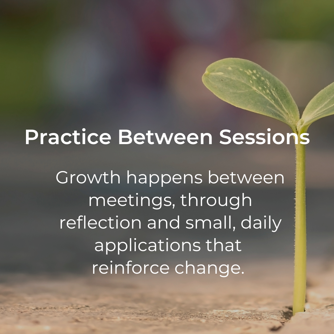 A sprouting green seedling with two leaves emerging from the soil, with a blurred background. Overlaid text reads: "Practice Between Sessions. Growth happens between meetings, through reflection and small, daily applications that reinforce change."