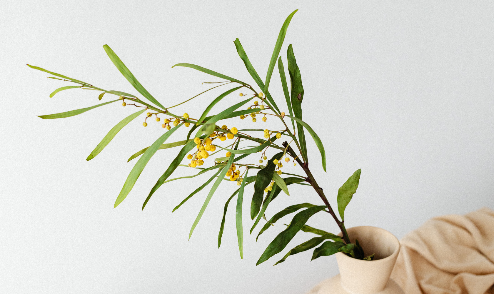 Top Medspa in Petaluma, CA, 94952