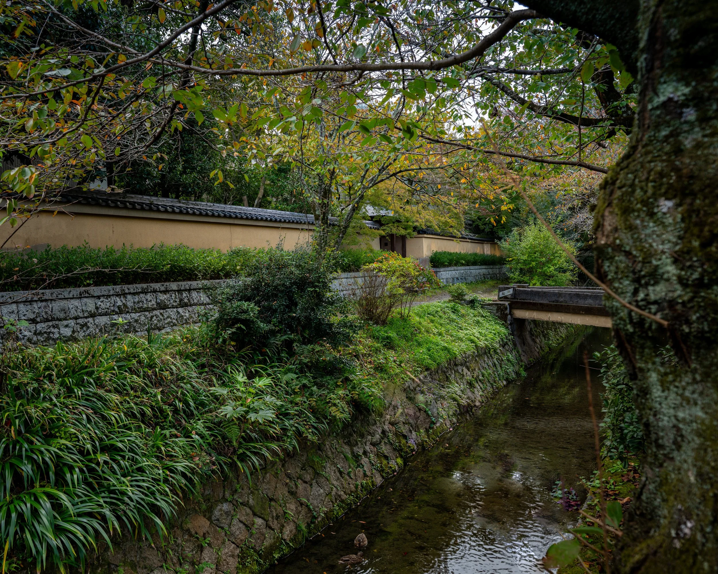 00_Kyoto-Philo-Path--7.jpg